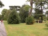 DSCN5234.JPG