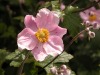 DSCN5238.JPG