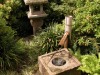 DSCN5245.JPG