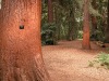 DSCN5249.JPG