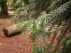 DSCN5251.JPG