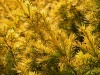 DSCN5252.JPG