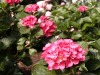 DSCN5253.JPG