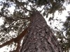 DSCN5255.JPG
