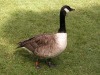DSCN5258.JPG
