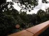 DSCN5260.JPG
