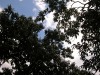 DSCN5262.JPG