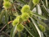 DSCN5264.JPG