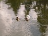 DSCN5268.JPG