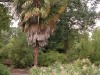 DSCN5272.JPG