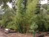 DSCN5276.JPG