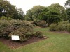 DSCN5277.JPG