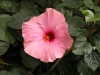 DSCN5278.JPG