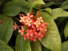 DSCN5279.JPG