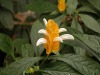 DSCN5280.JPG