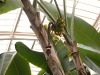 DSCN5282.JPG