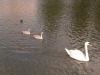 DSCN5285.JPG