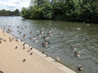 DSCN4928.JPG