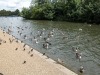 DSCN4928.JPG