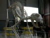 dscn6557.jpg