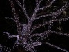 dscn6641.jpg
