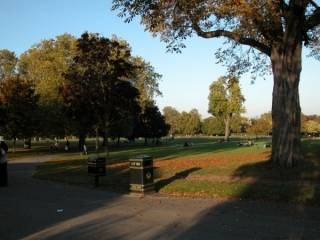 dscn6095.jpg