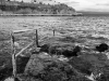 dsc_8053