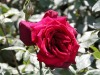 DSCN4658.JPG