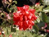 DSCN4662.JPG