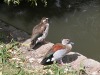 DSCN4673.JPG