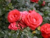 DSCN4676.JPG