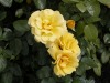 DSCN4684.JPG