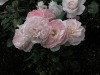 DSCN4688.JPG