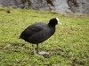 dsc_0588.jpg