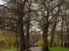 dsc_0589.jpg