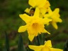 dsc_0591.jpg