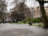 dsc_0602.jpg
