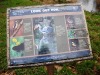 dsc_0625.jpg