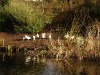 dsc_0631.jpg