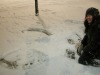 dscn6858.jpg