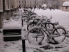 dscn6908.jpg