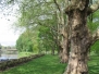 UK 2007