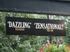 dscn5605.jpg