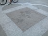 dscn5608.jpg